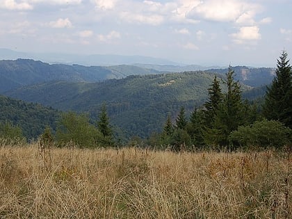 Góry Czerchowskie