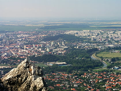 Donautiefland