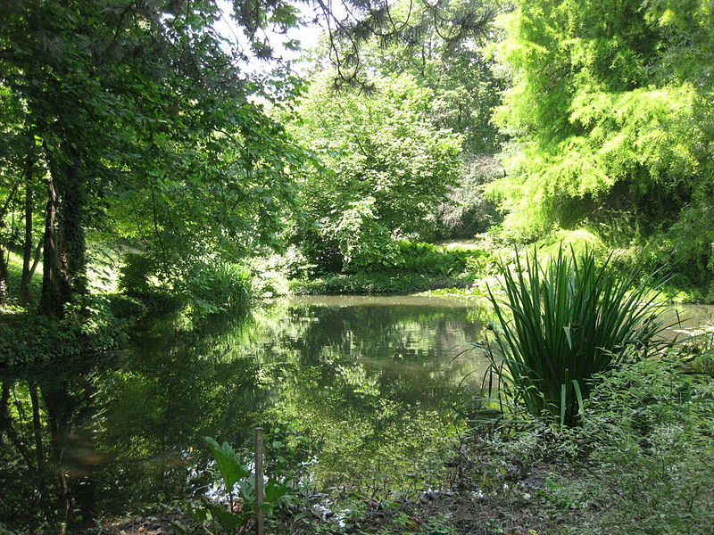 Botanischer Garten Bratislava