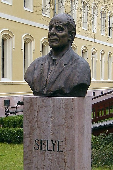 Universidad János Selye
