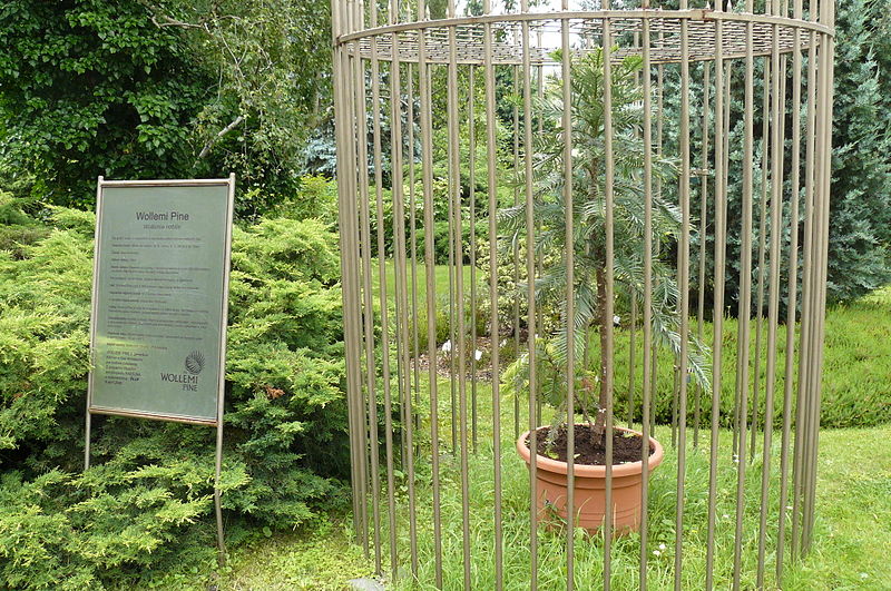 Jardín botánico de Bratislava