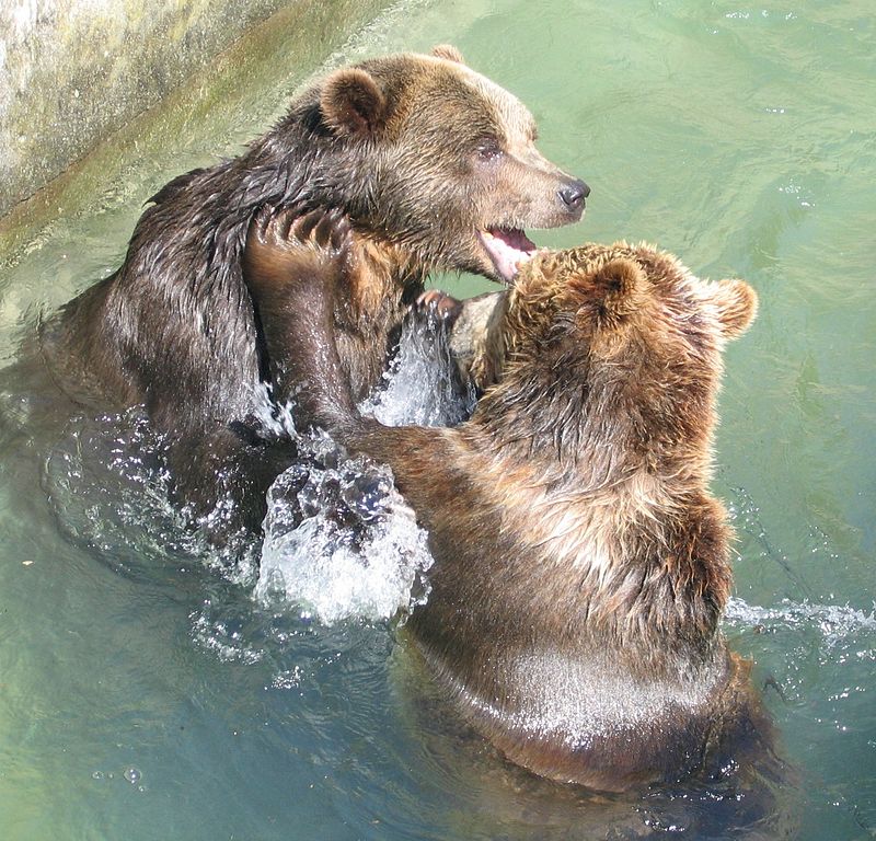 Ogród zoologiczny