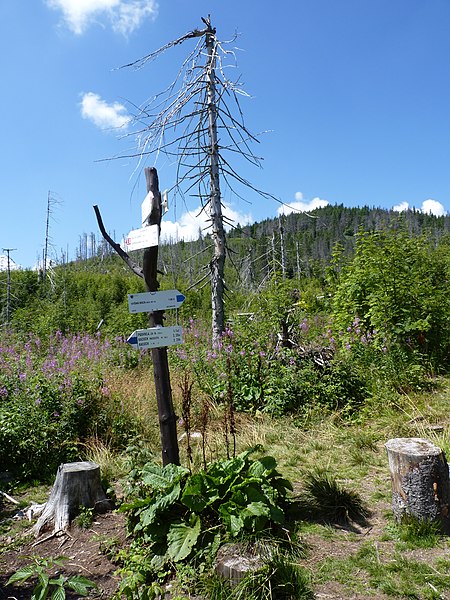 Bajo Tatra