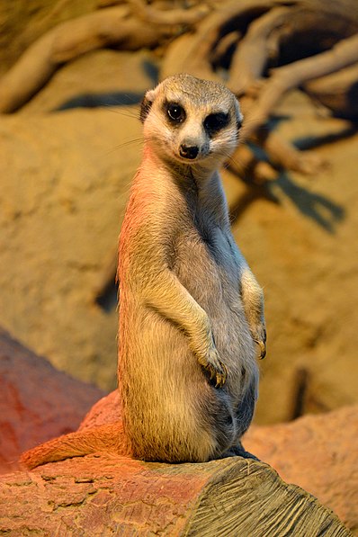 Ogród zoologiczny