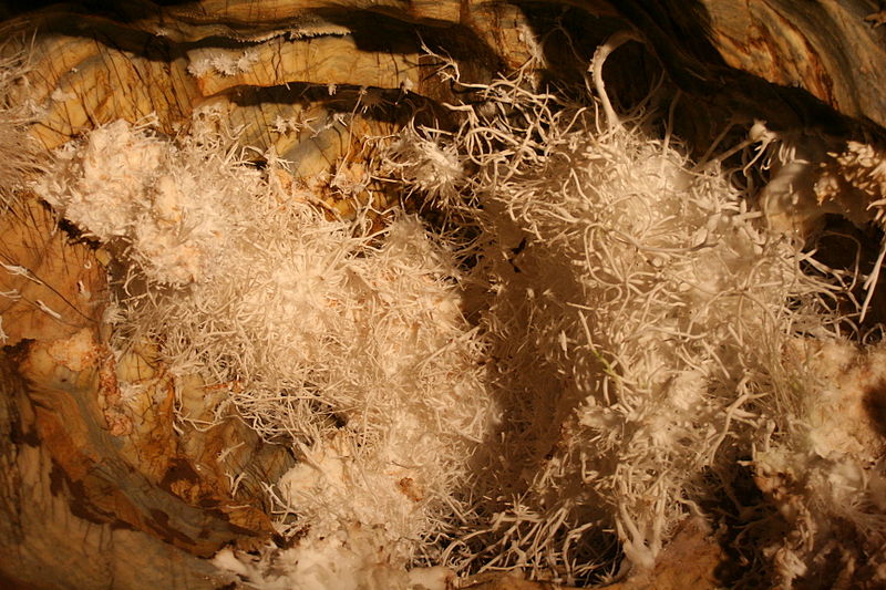 Grotte d'aragonite d'Ochtiná