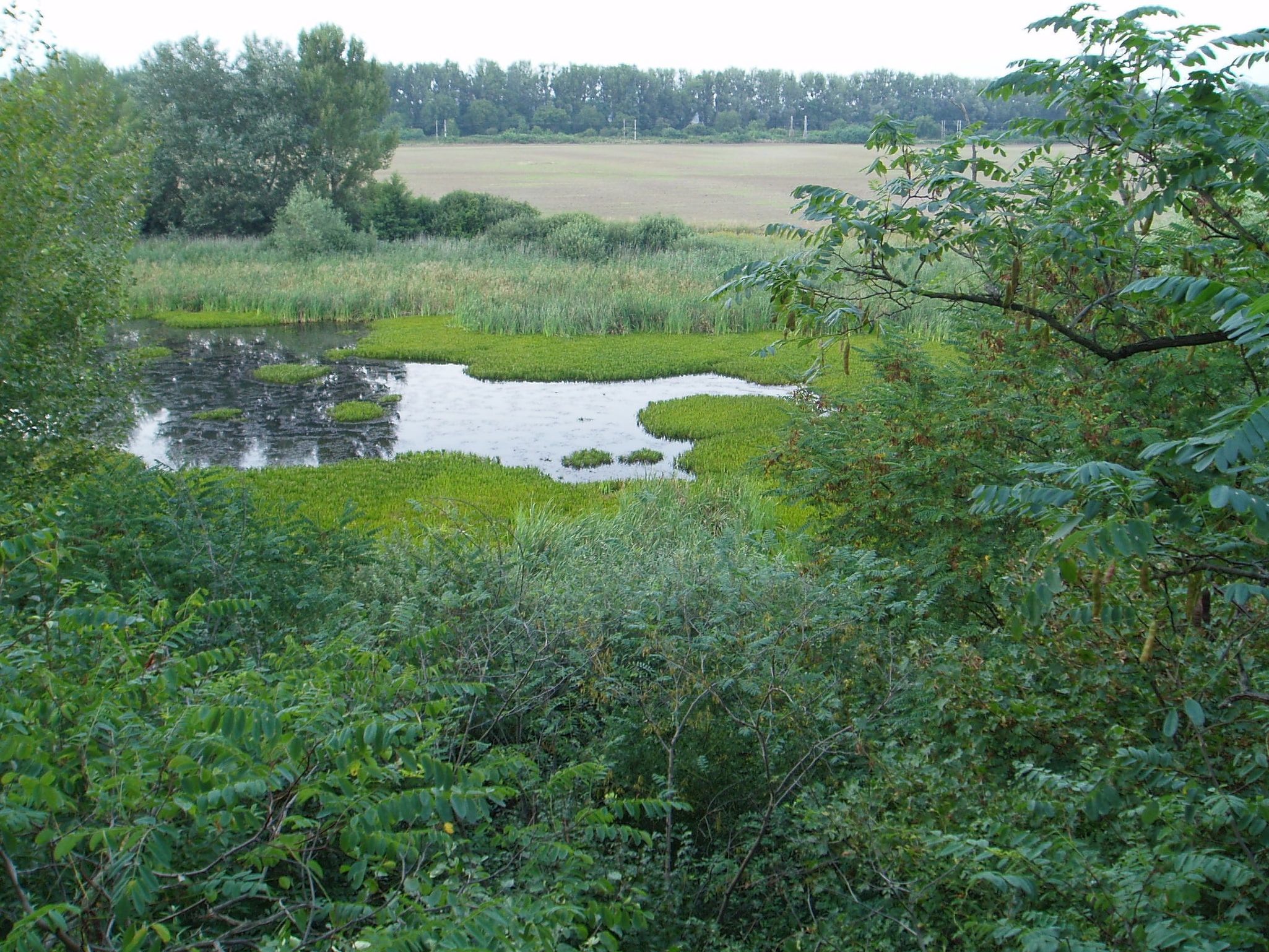 Latorica Protected Landscape Area, Słowacja
