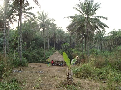 area rural de freetown