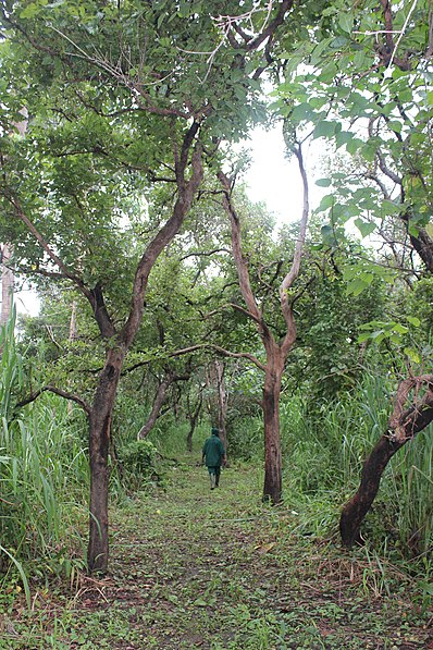 Park Narodowy Outamba-Kilimi