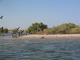 Parque nacional del Delta del Salum