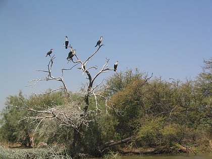 parque nacional de las aves del djoudj