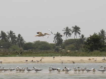 langue de barbarie national park