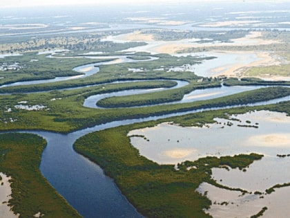 Delta del Salum