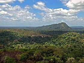 reserva natural de surinam central