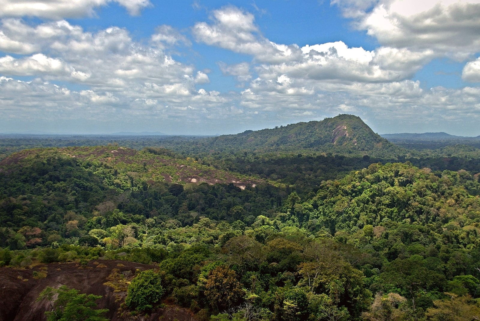 Zentral-Suriname-Naturschutzgebiet, Suriname
