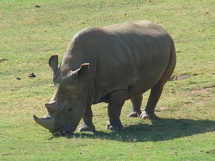 Südlicher Nationalpark