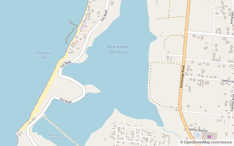 McKinnon's Pond location map