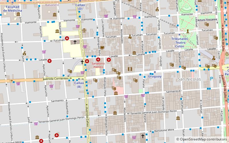 Walk along Avenida Alvear: location map