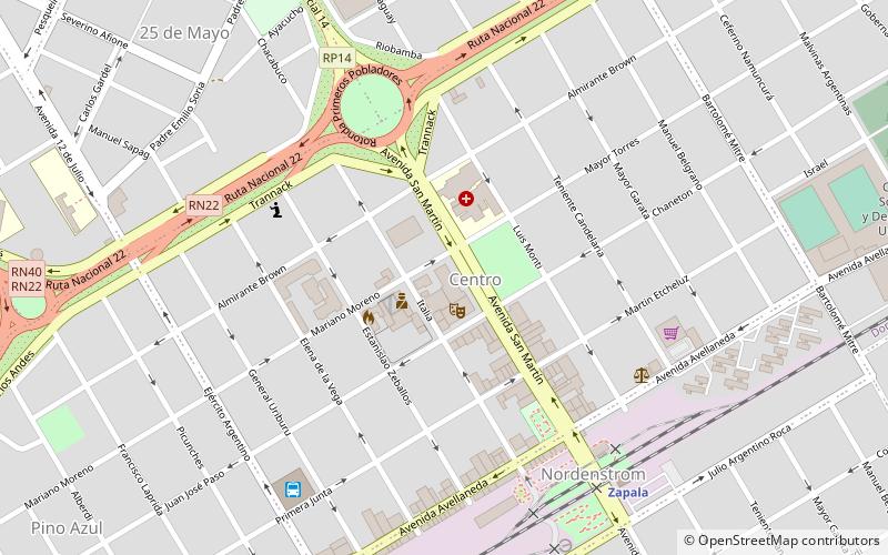 Zapala location map