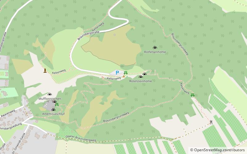 Braunsberg location map