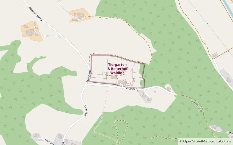 Tiergarten Walding location map