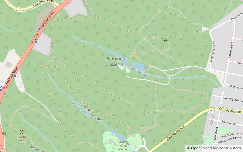 Blackbutt parkrun location map