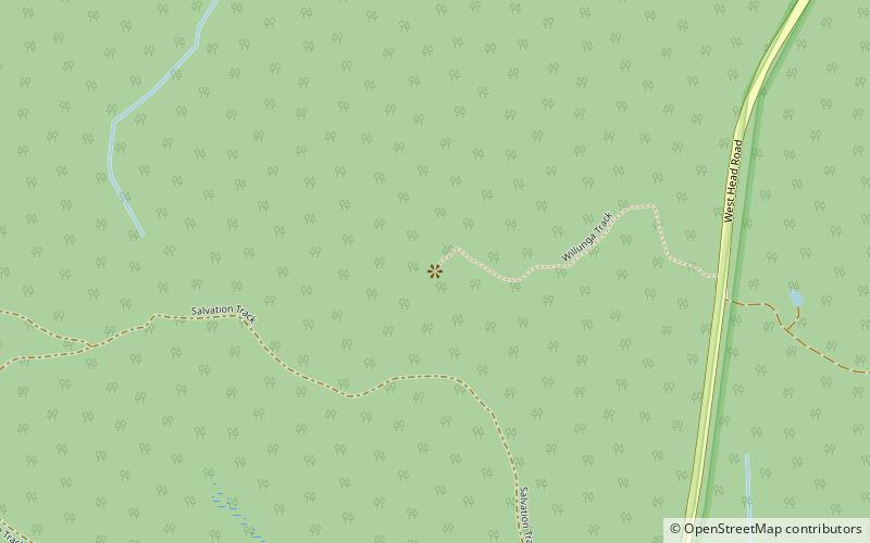 Sydney Sandstone Ridgetop Woodland location map