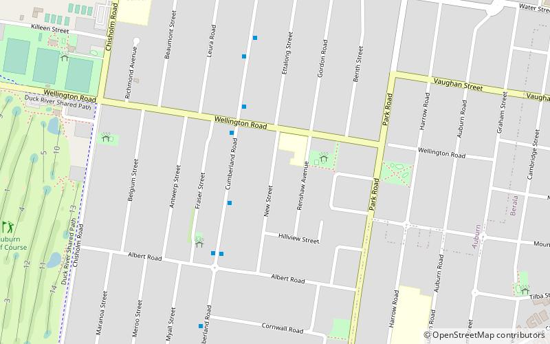 Auburn Gallipoli Mosque location map