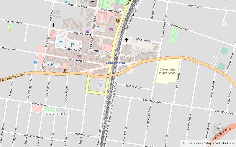 ray white cabramatta sydney location map