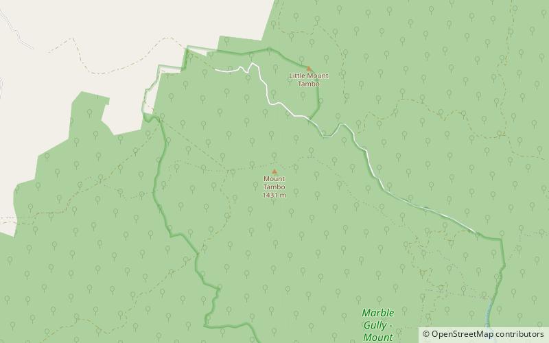 Mount Tambo location map