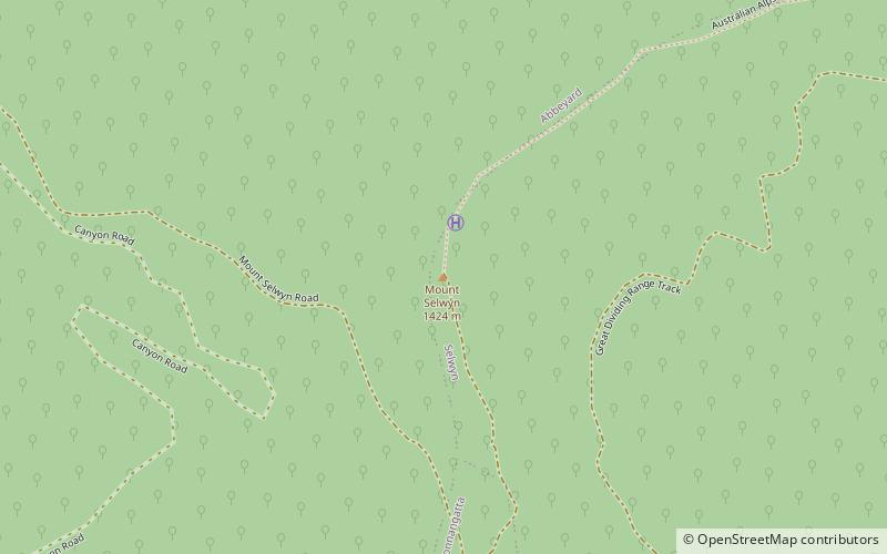 Mount Selwyn Mountain location map