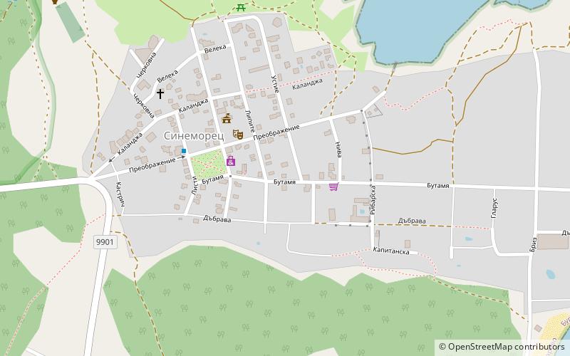 Sinemorets location map