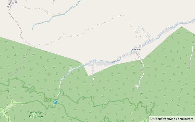 Chiflik location map