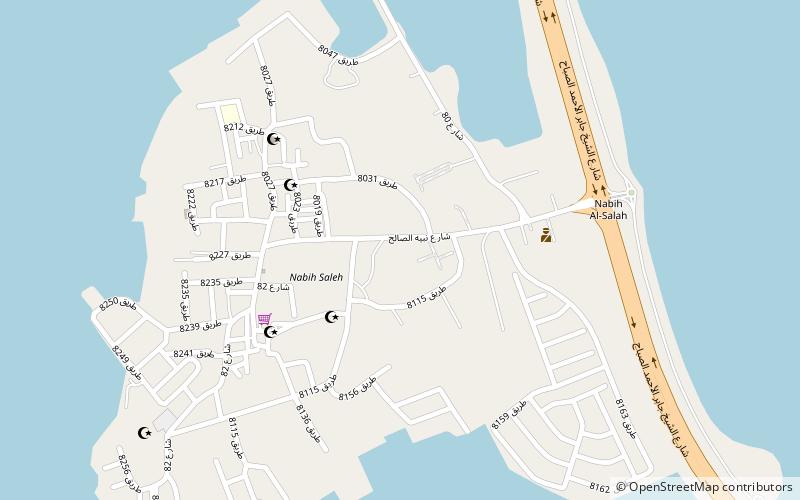 nabih saleh manama location map