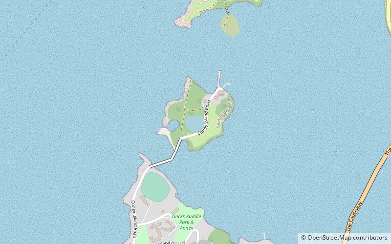 coney island saint george location map
