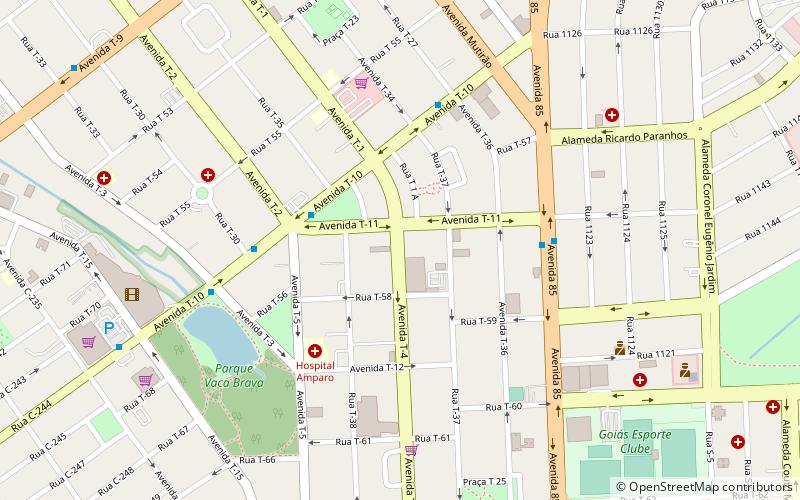 buena vista shopping goiania location map