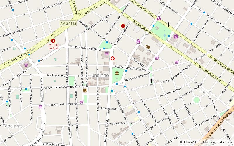 uberlandia municipal museum location map