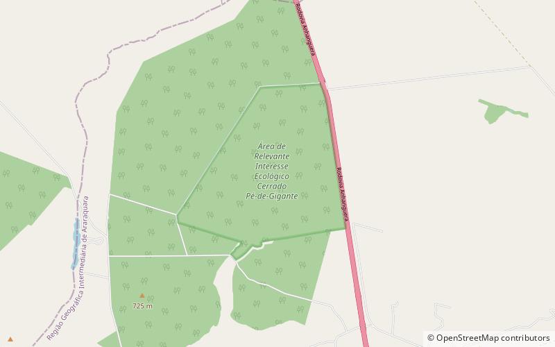 Cerrado Pé de Gigante Area of Relevant Ecological Interest location map