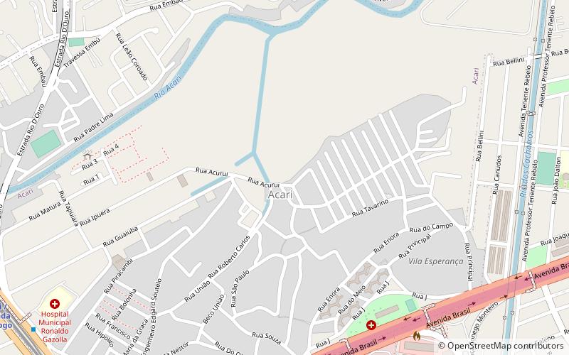 Pavuna location map
