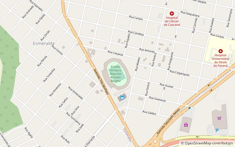 Estádio Olímpico Regional Arnaldo Busatto location map