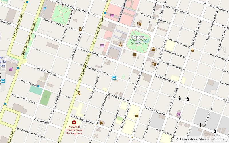 microrregion de pelotas location map