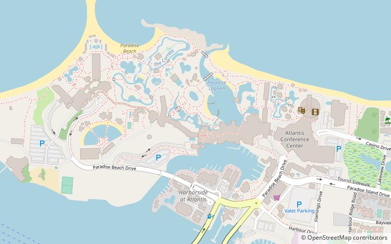 the dig nassau location map