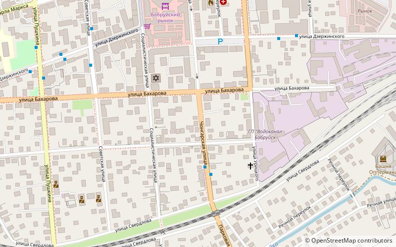 synagogue bobruisk location map