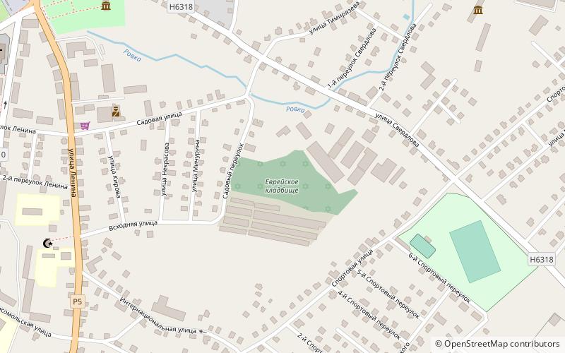 jewish cemetery navahrudak location map