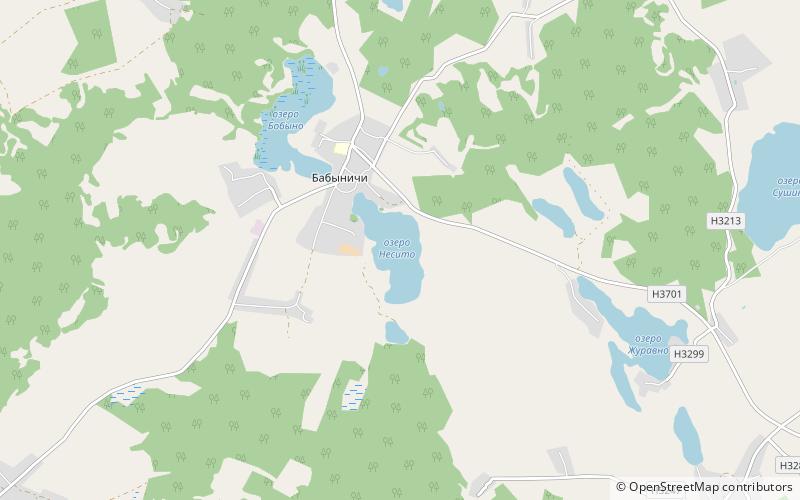Lake Babyna location map