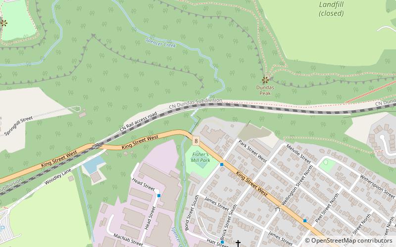 dundas falls hamilton location map