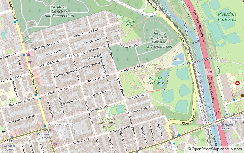 Cabbagetown location map