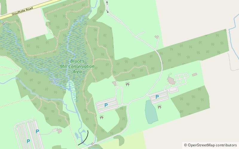 Treetop Trekking location map