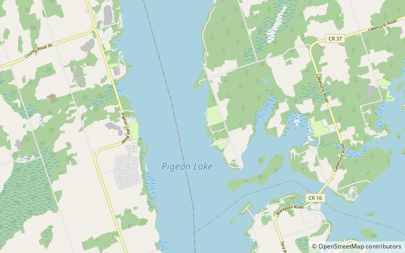 Pigeon Lake location map