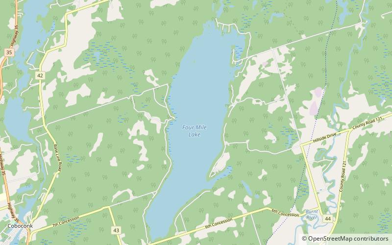 Four Mile Lake location map