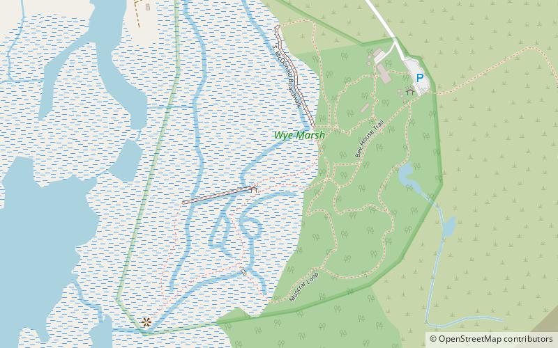 wye marsh wildlife center midland location map